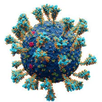 Virus 