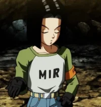 Android 17