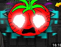 mad mr tomatoes