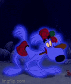 Genie Dog