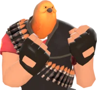 Pootis bird