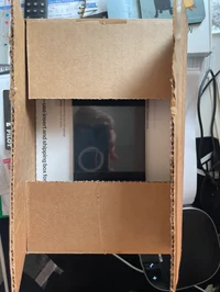 Girl with gun singil