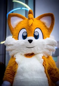 Tails the Fox
