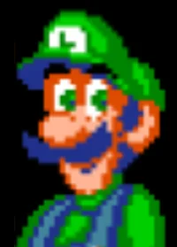 SMW Luigi