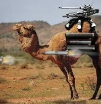Tactical Camel