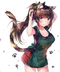 Akihaban -neko-