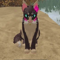Sydney The Cat