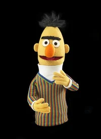 Bert