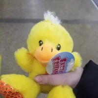 Chuckie the duck