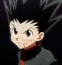 Gon Freecss