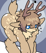 Deer transfur