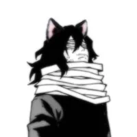 Shota Aizawa