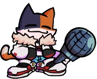 Momichi The Calico