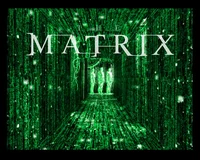 -The Matrix- RP