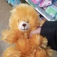 Goldilocks the Bear