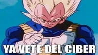 Vegeta espanol