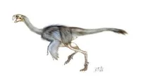 Machairasaurus