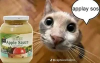 applay sos cat