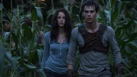 The Maze Runner Rp