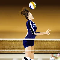 Volleyball