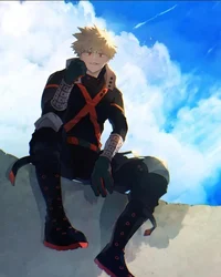 Pro Hero Bakugo