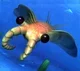 Anomalocaris