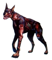 An zombie dog 