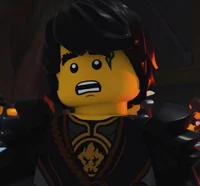 Ninjago cole