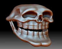 Trollface skull