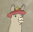 paul the llama