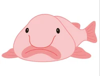 Blobfish