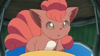 Foxy the Vulpix