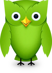 Duolingo Dad