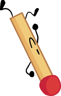 Bfdi Match