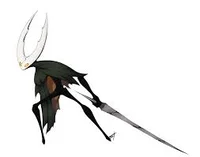 The Hollow Knight