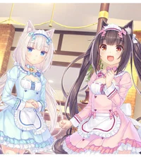 Twin Catgirls