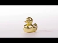 Duck mcduckface 