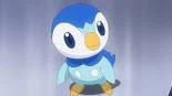 Piplup