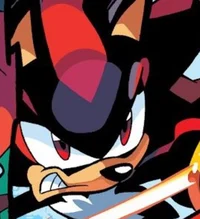 Shadow The Hedgehog