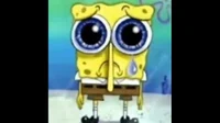 SpongeBob Meme