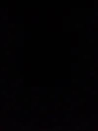 Narrator