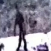 The Fog Is Coming TA