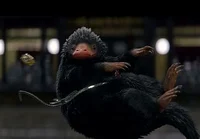niffler