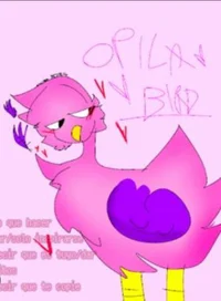 opila bird
