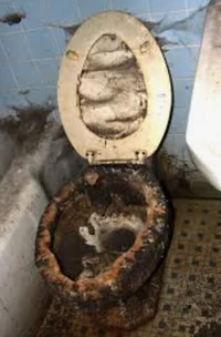 Dirty toilet