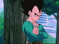 TFS Vegeta