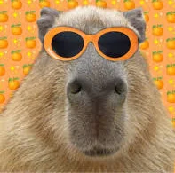 Capybara