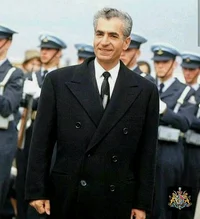 Mohammadreza Shah