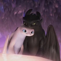 Toothless and Luna