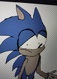 SHNP Sonic